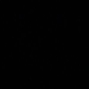 Meet your Posher, Yoo